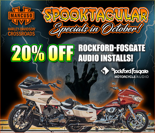 harley davidson service special